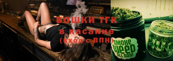 сатива Горно-Алтайск