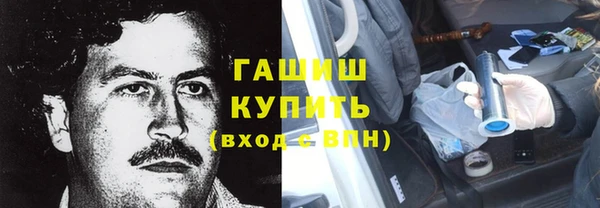 шишки Горняк