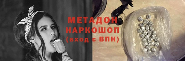 шишки Горняк