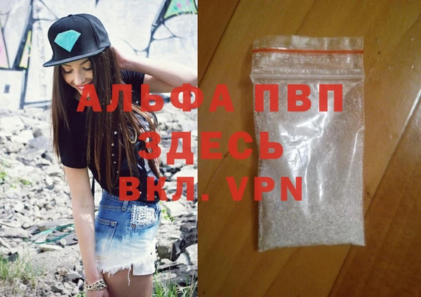 шишки Горняк