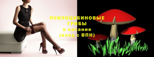 ПСИЛОЦИБИНОВЫЕ ГРИБЫ Усинск