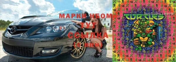 шишки Горняк
