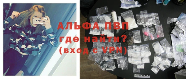шишки Горняк