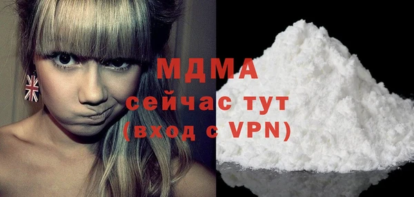 шишки Горняк