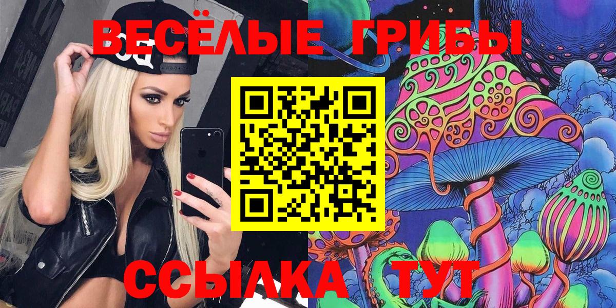 Галлюциногенные грибы Cubensis  Вход с VPN  Мценск 