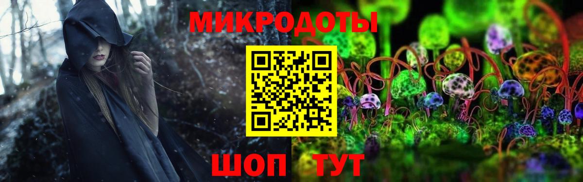 Псилоцибиновые грибы Cubensis Мценск